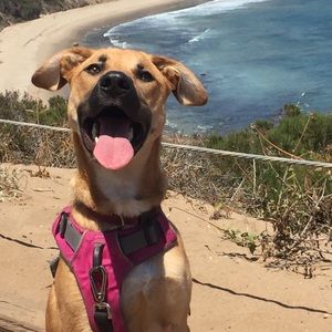 Meet your Posher, Nikki